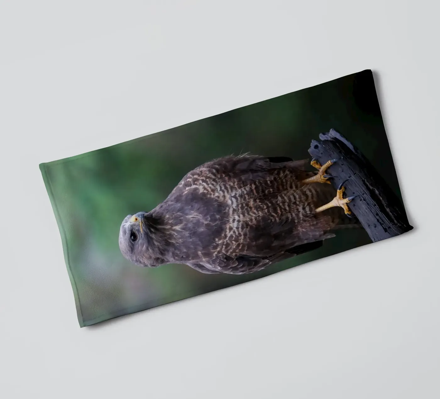 Buizerd badhanddoek van Tom's Wildlife