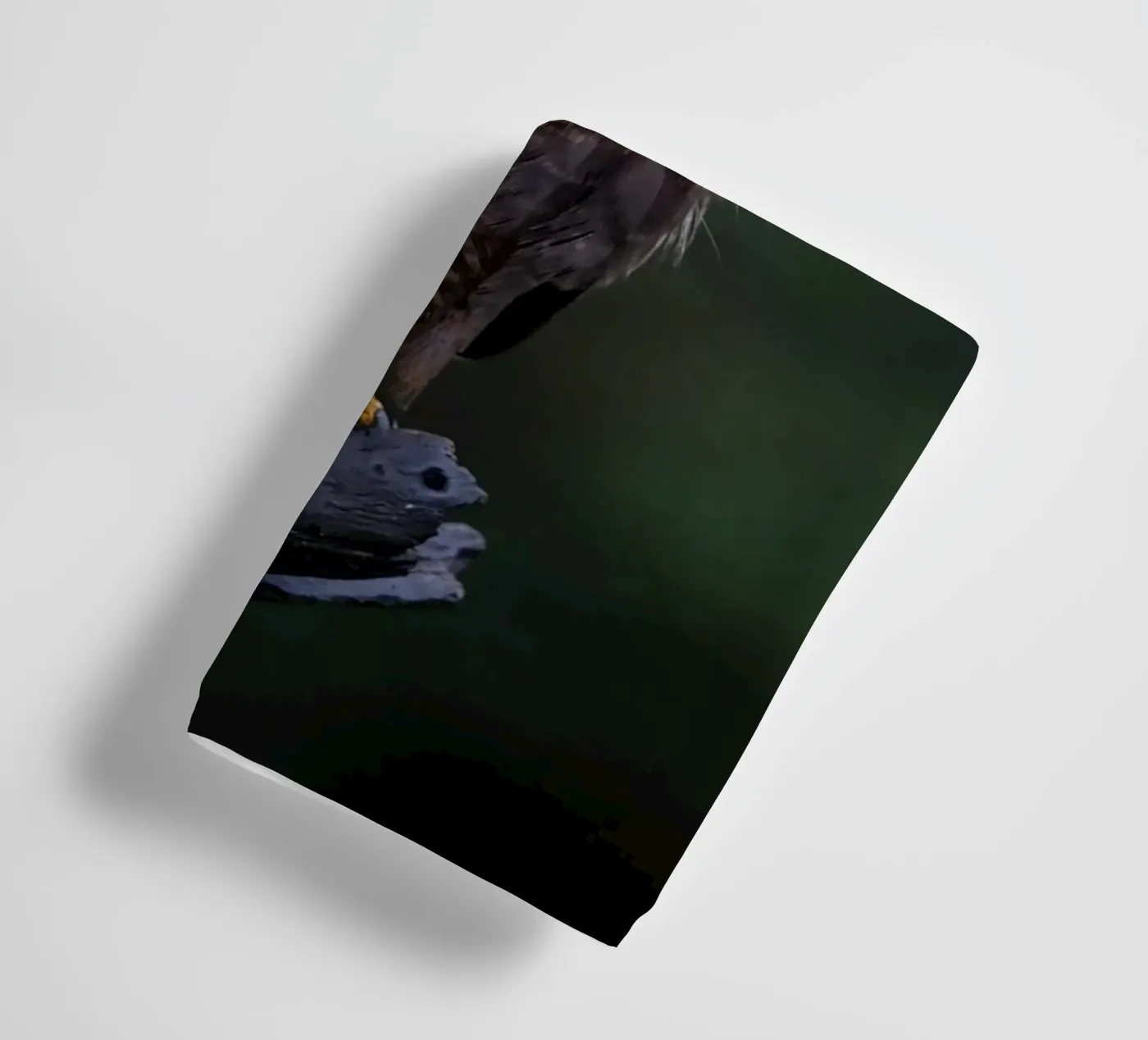 Buizerd badhanddoek van Tom's Wildlife