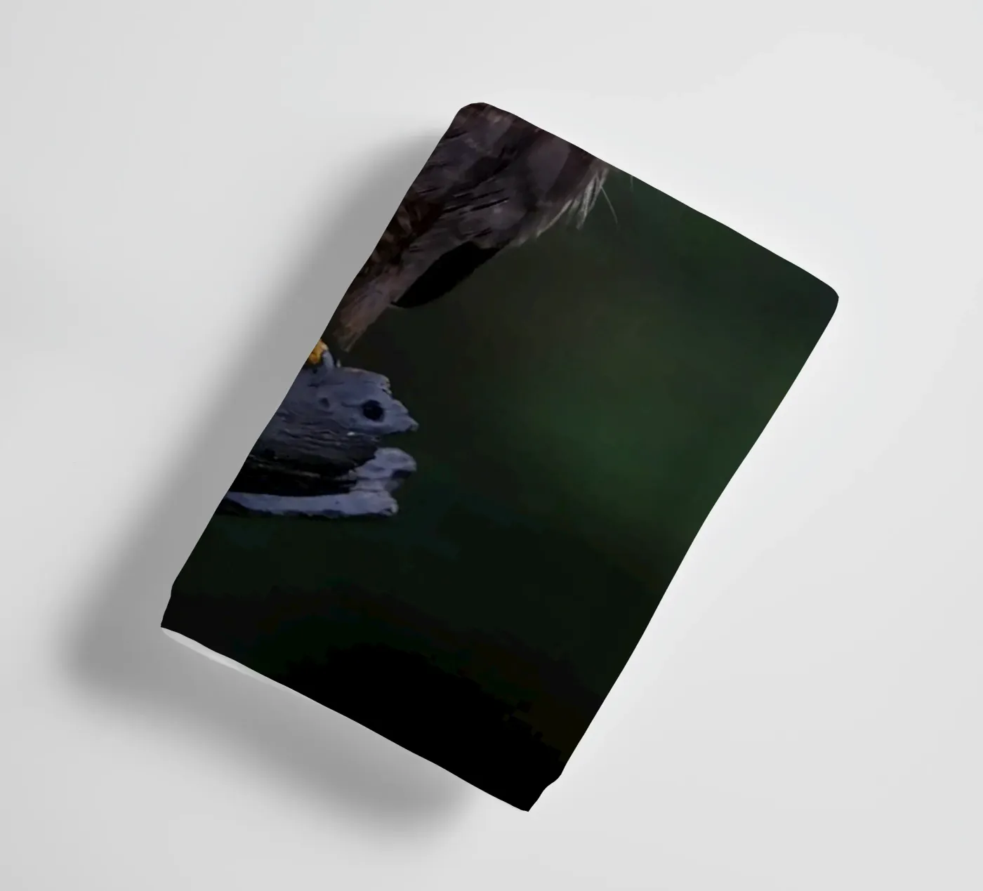 Mäusebussard Handtuch von Tom's Wildlife