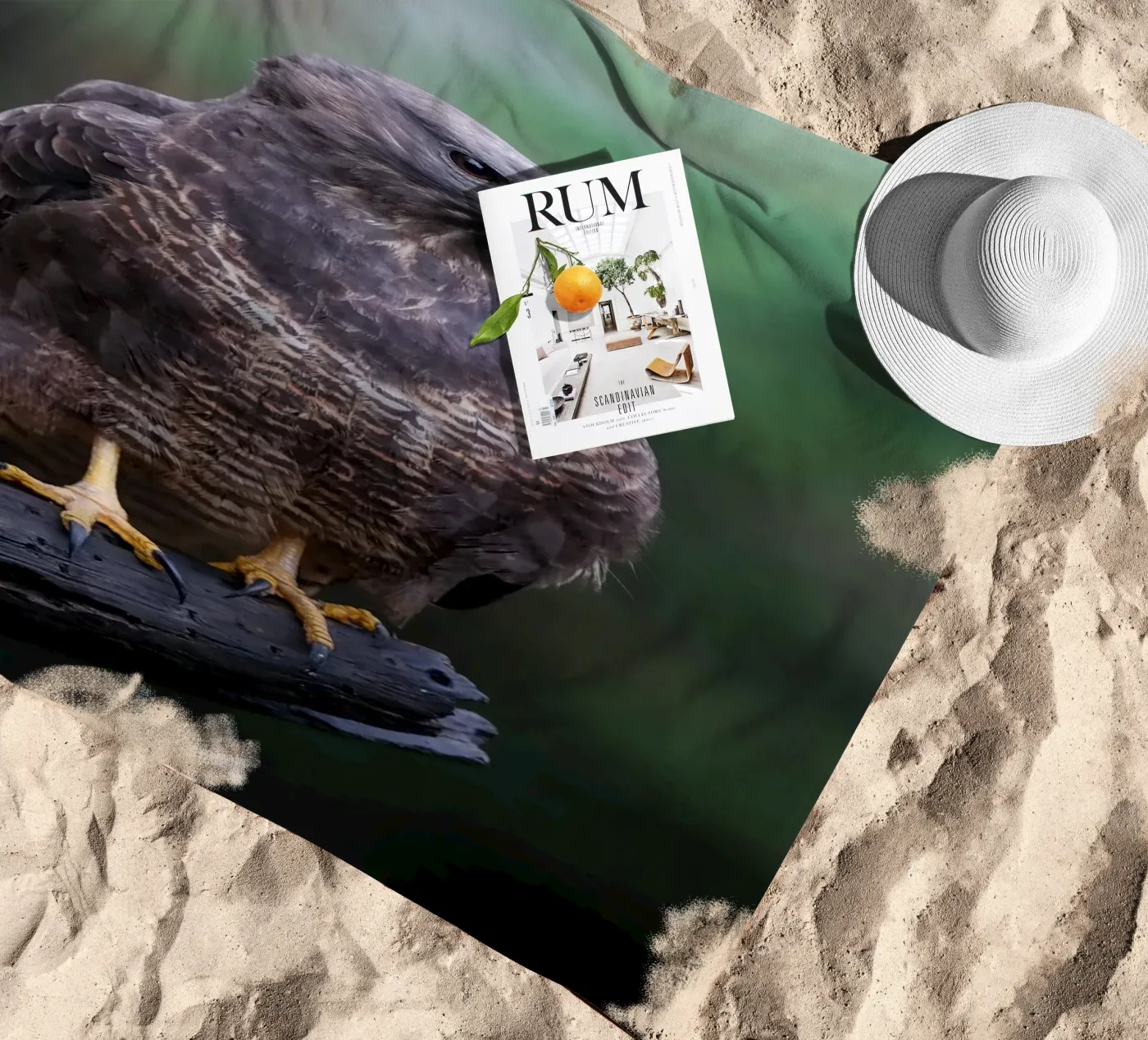 Common buzzard beach towel by Tom's Wildlife