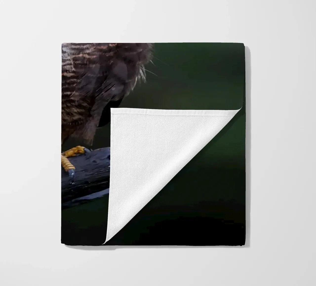 Buse variable serviette de plage de Tom's Wildlife