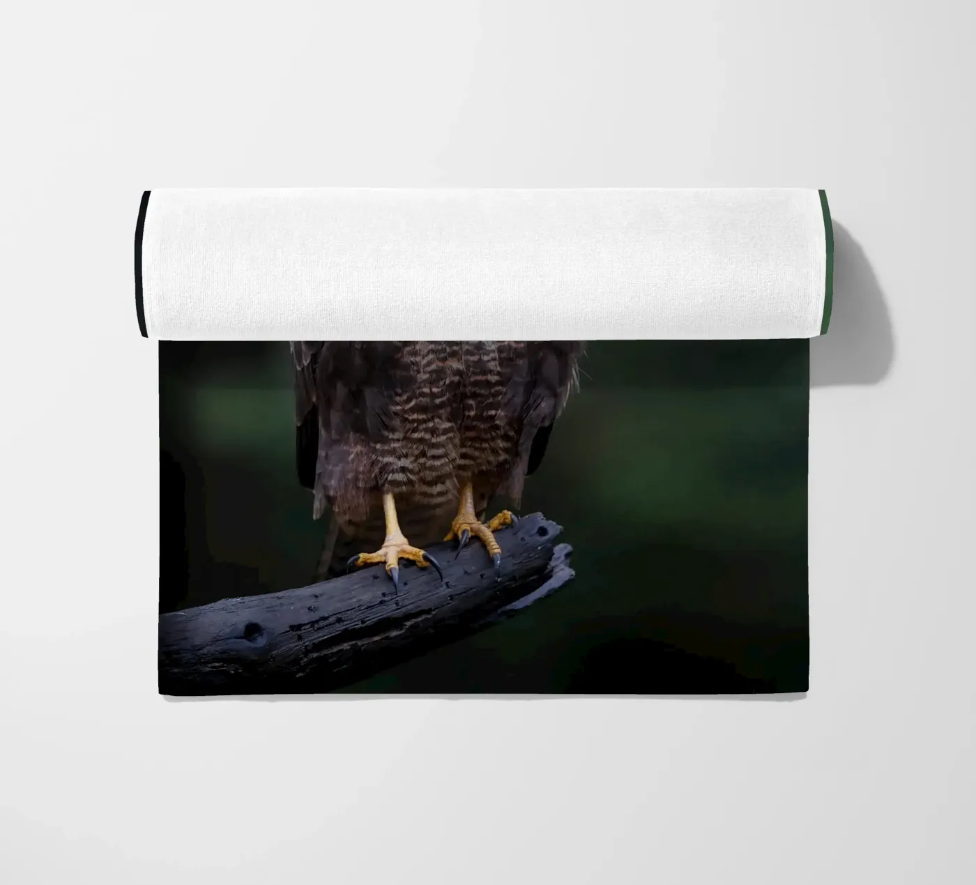 Mäusebussard Strandtuch von Tom's Wildlife