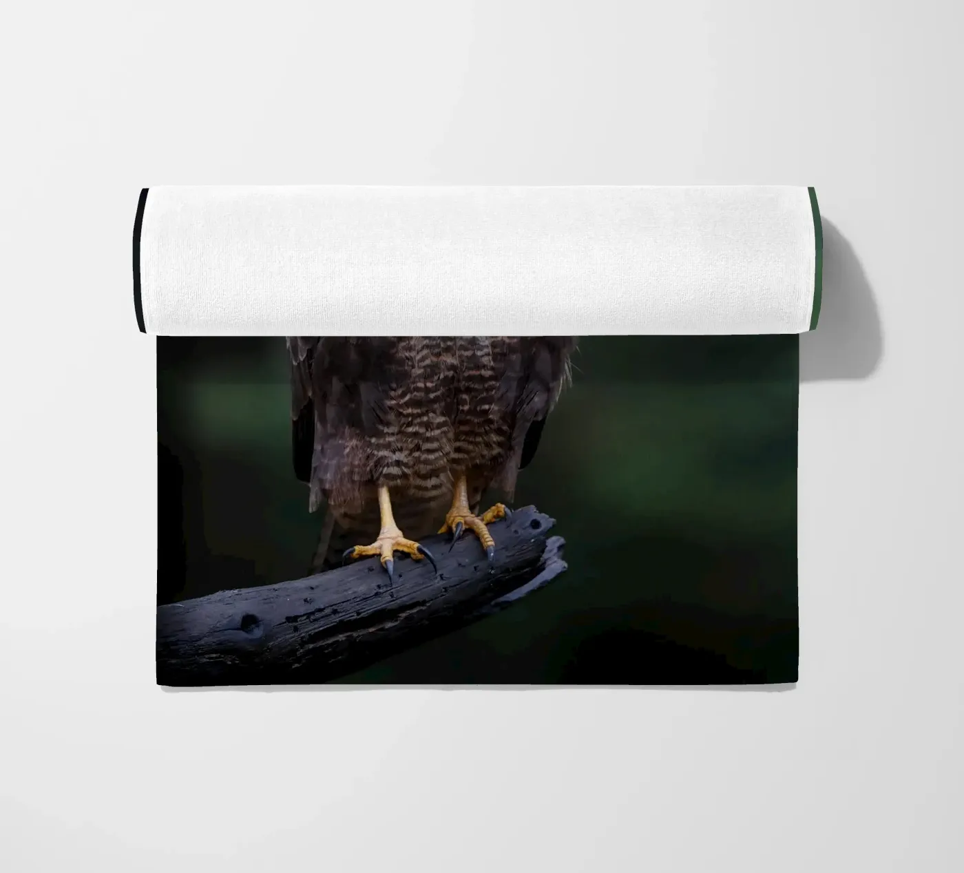 Common buzzard beach towel by Tom's Wildlife