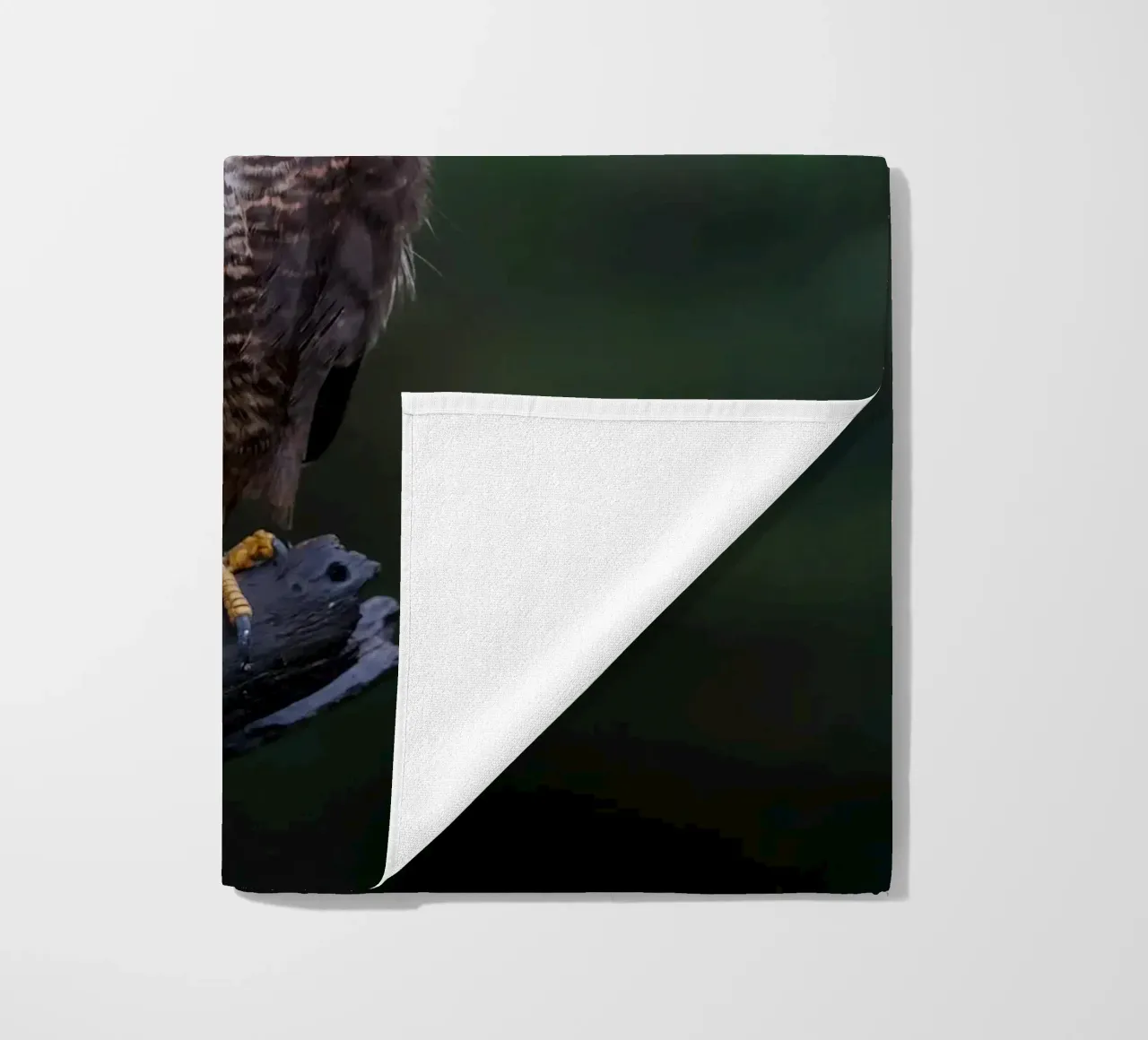 Buse variable serviette de plage de Tom's Wildlife