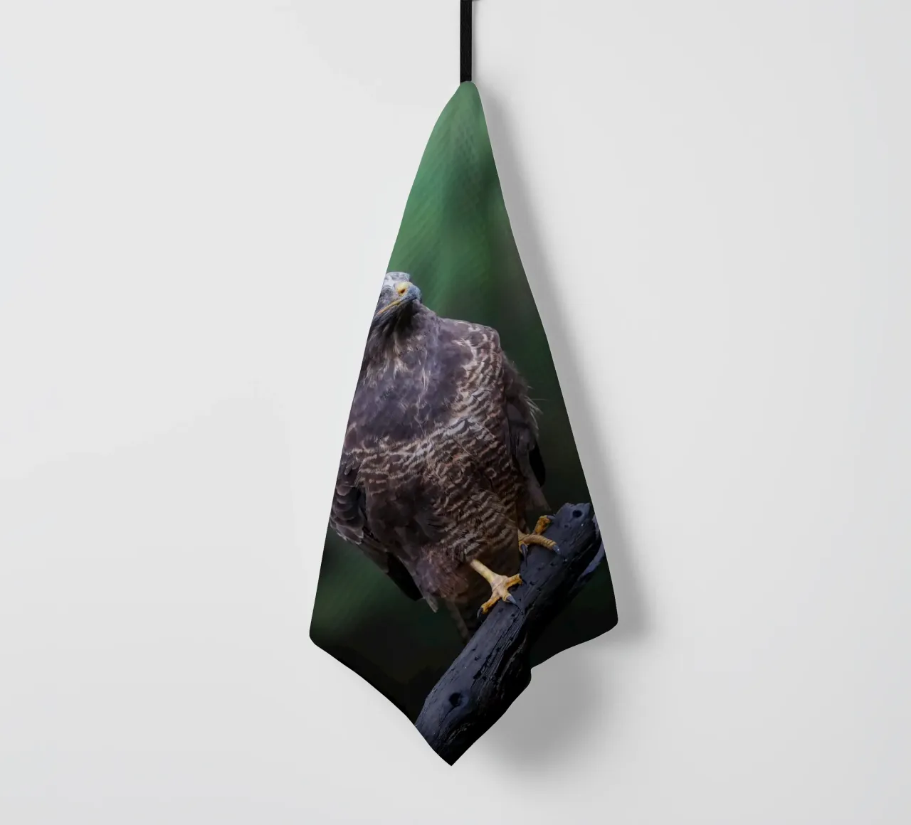 Mäusebussard Geschirrtuch von Tom's Wildlife