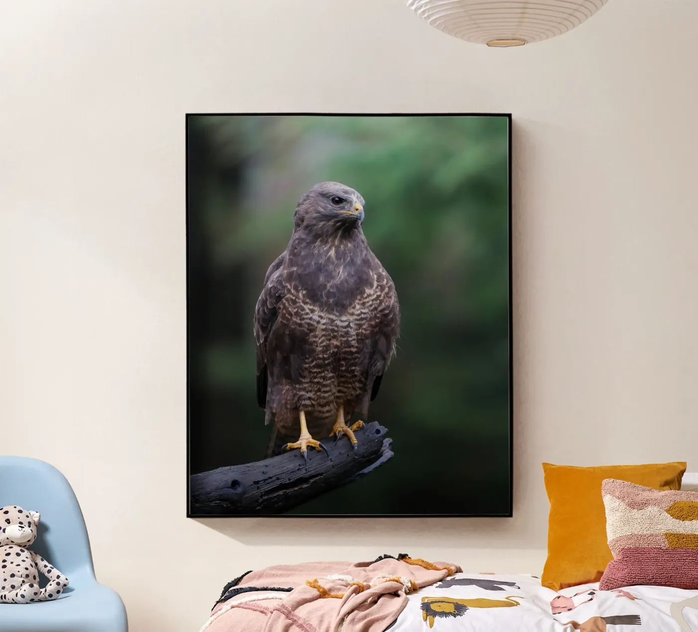 Common buzzard plexiglass da Tom's Wildlife
