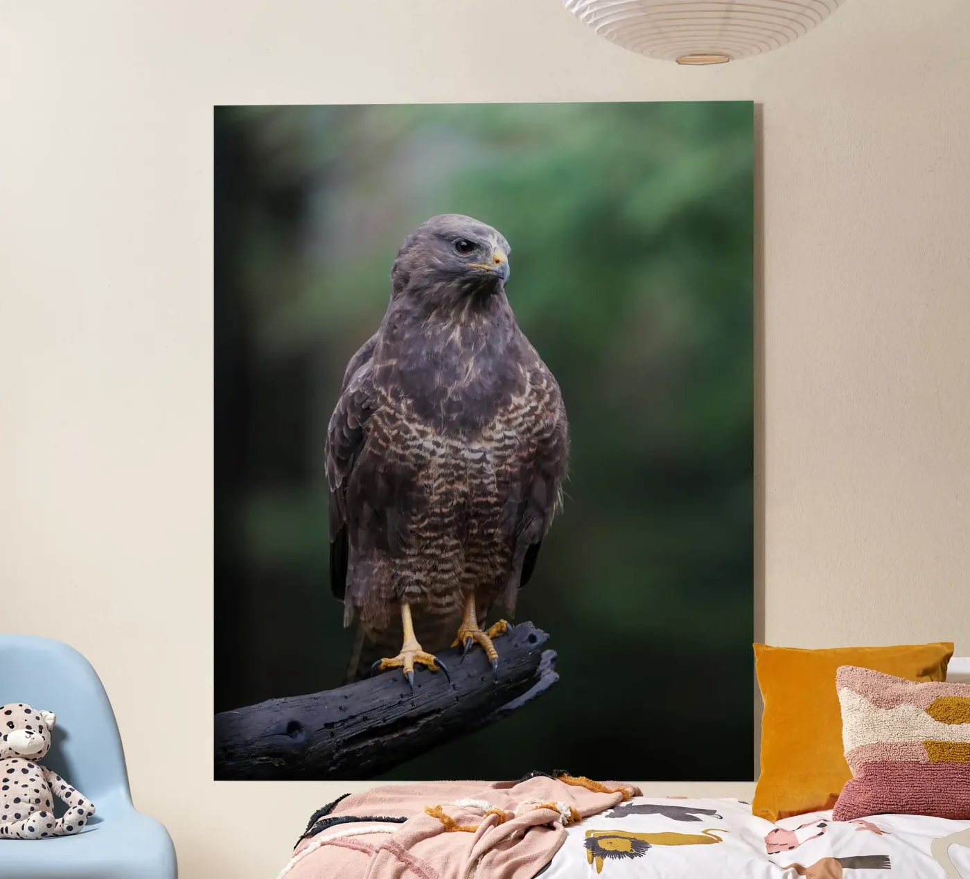 Common buzzard plexiglass da Tom's Wildlife