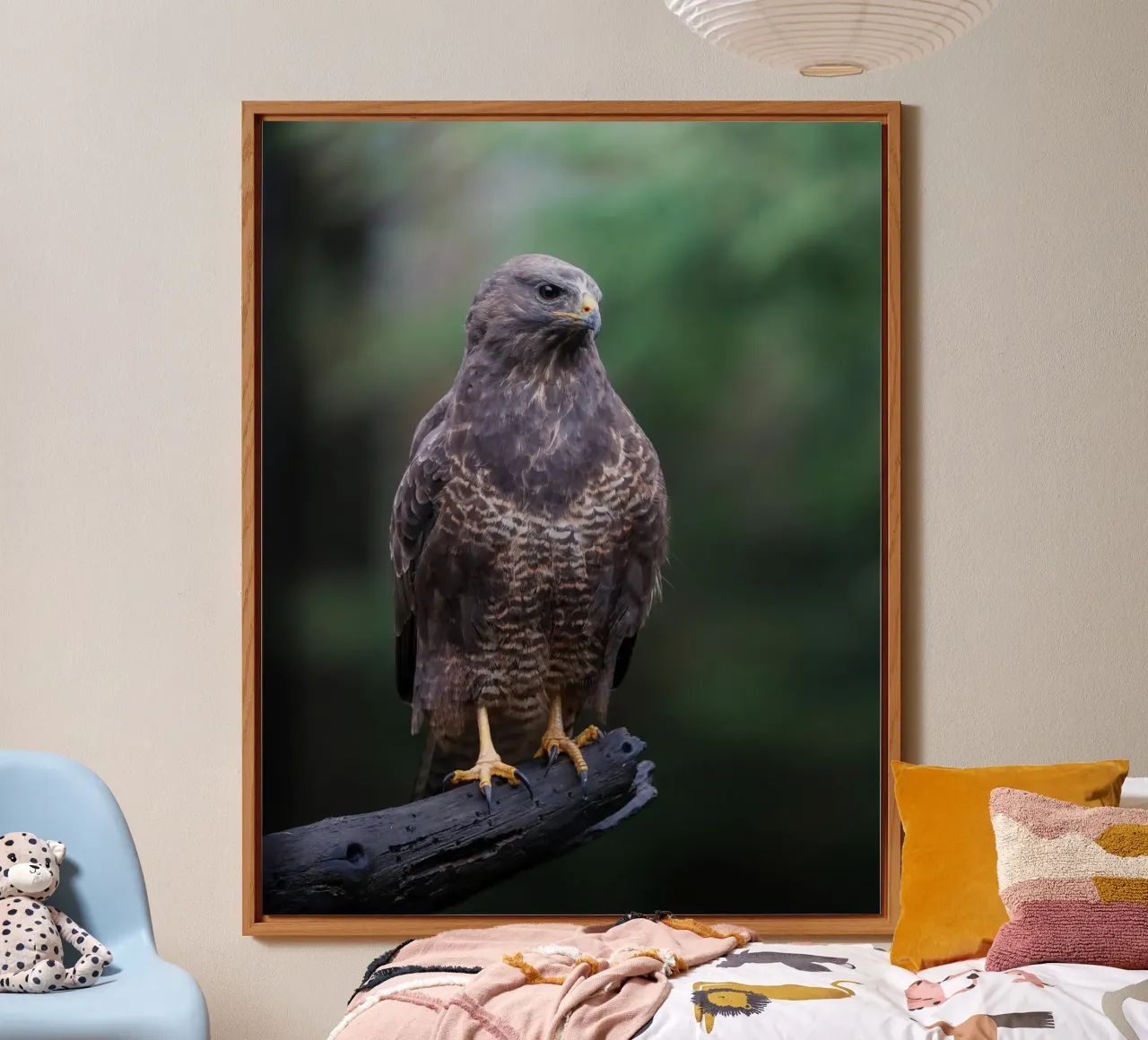 Common buzzard forex plate by Tom's Wildlife