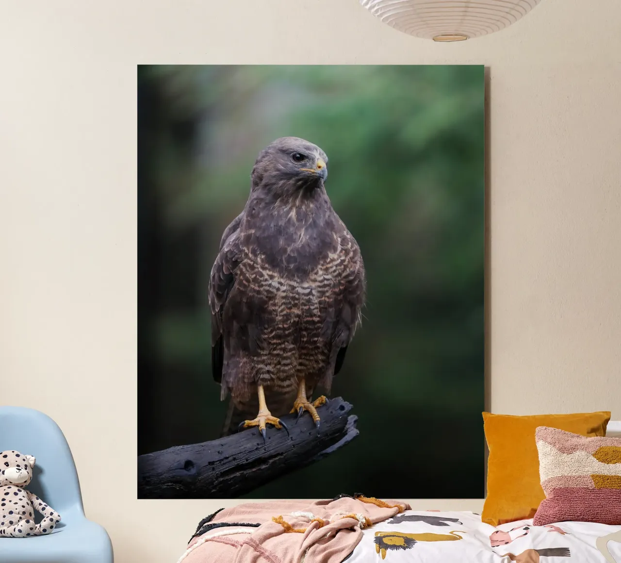 Common buzzard forex plate by Tom's Wildlife