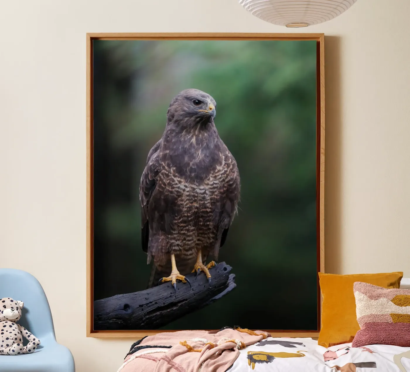 Buizerd canvas van Tom's Wildlife