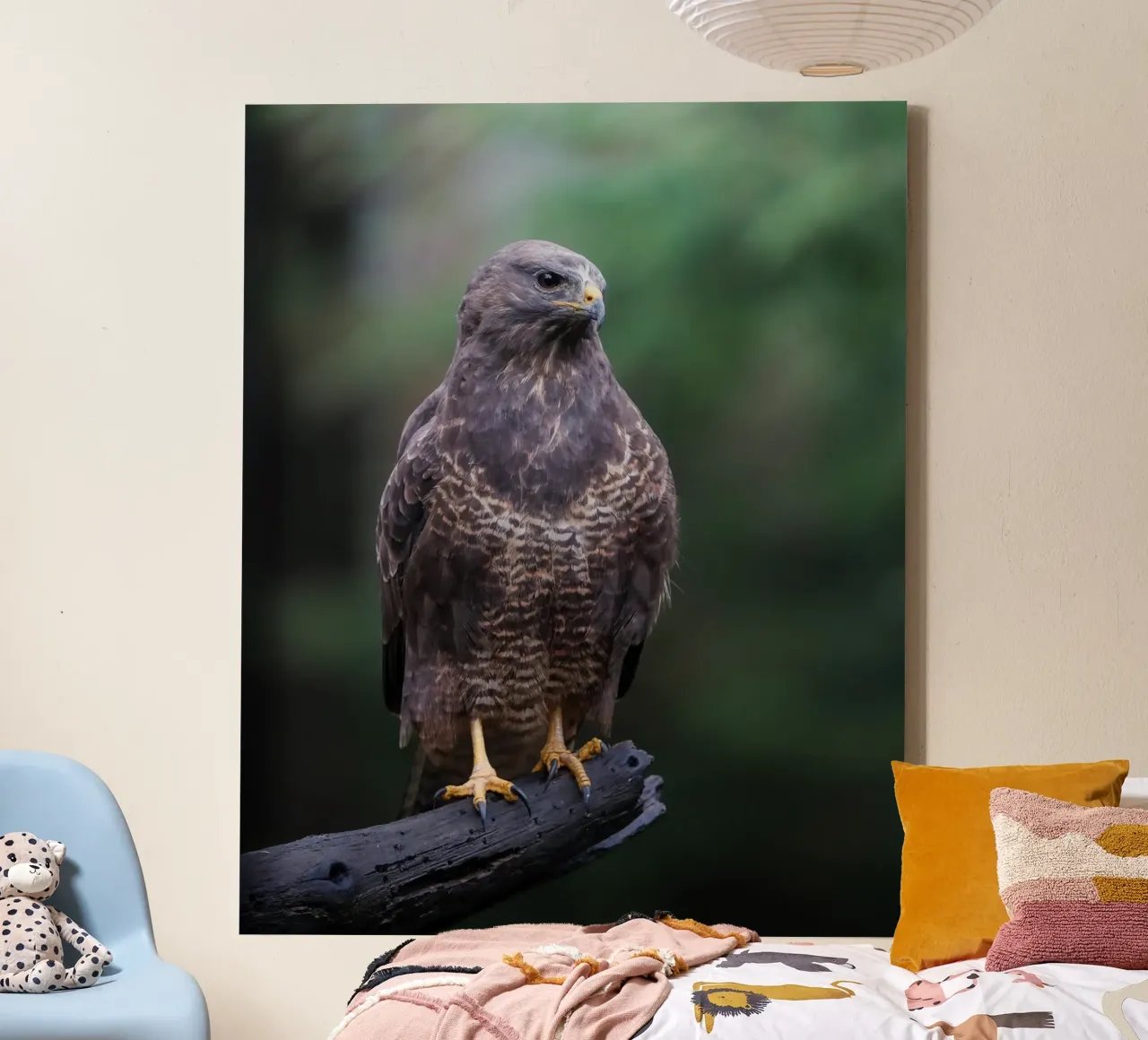 Buse variable toile de Tom's Wildlife