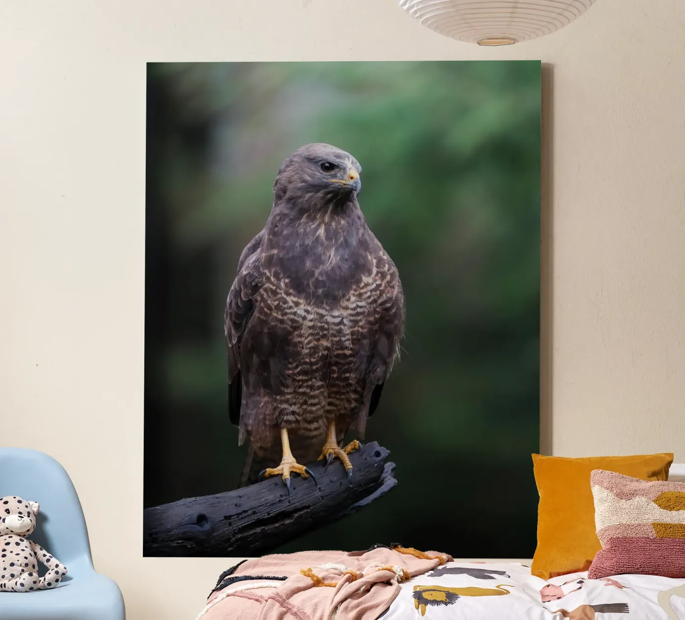 Buizerd canvas van Tom's Wildlife
