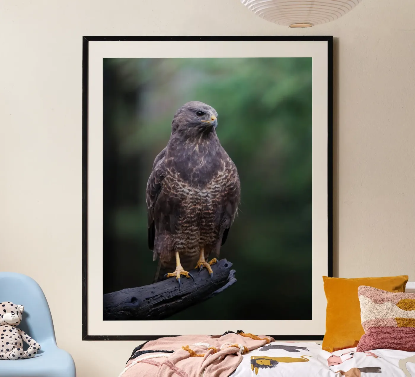 Buse variable poster de Tom's Wildlife