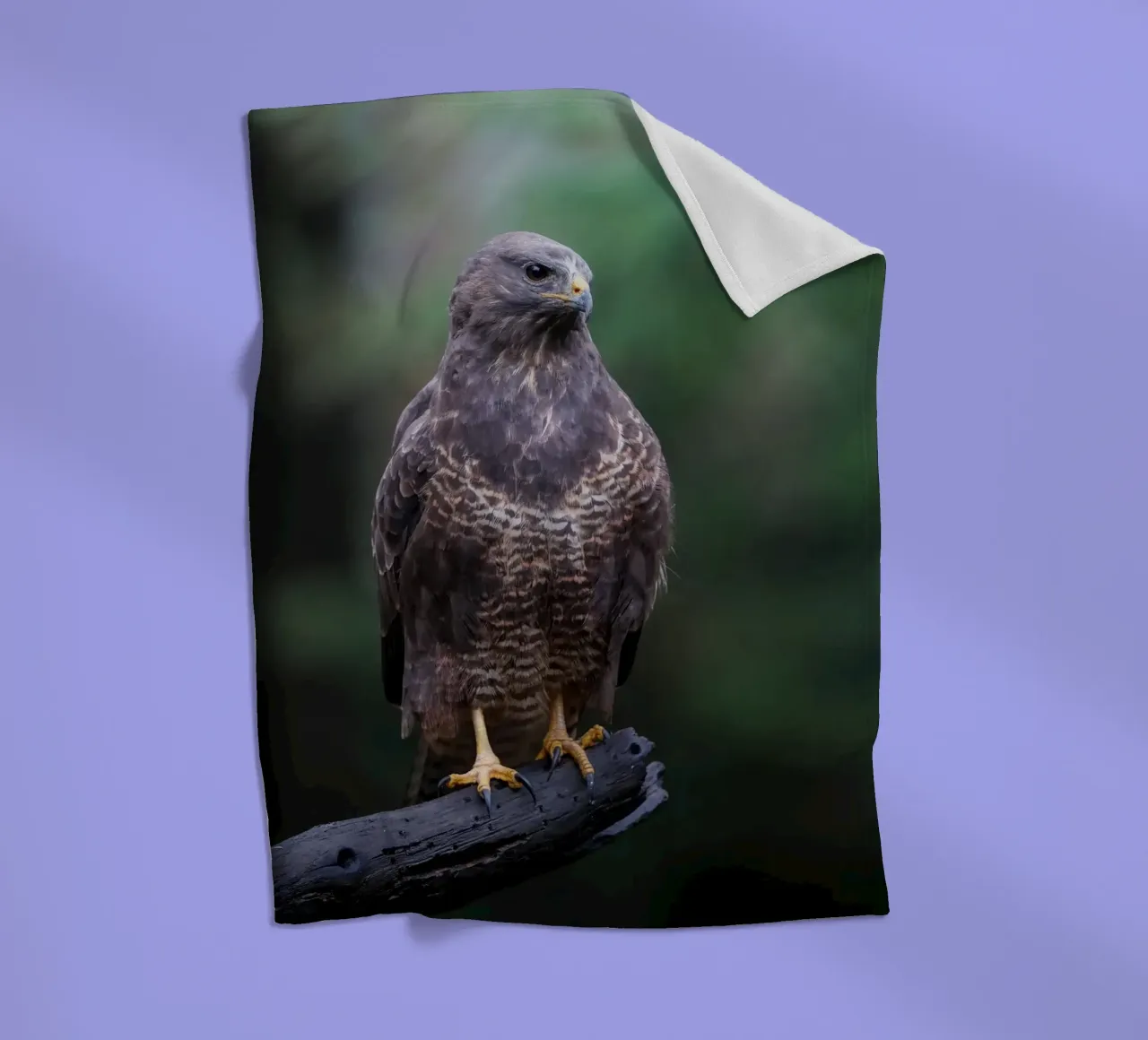 Common buzzard fleecedeken van Tom's Wildlife