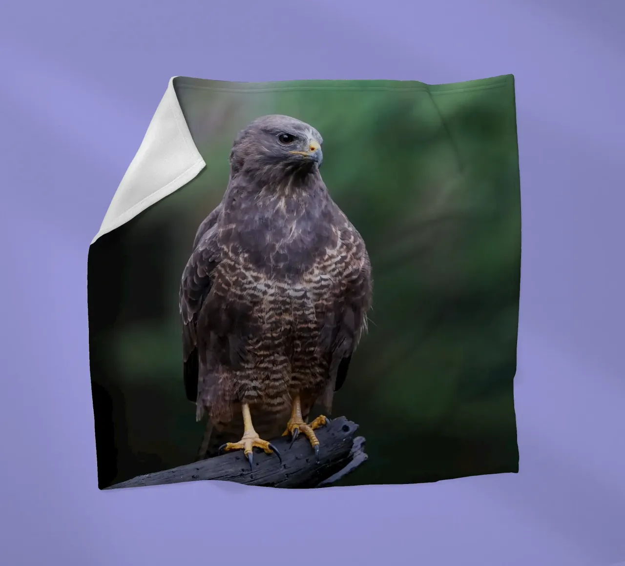 Common buzzard fleecedeken van Tom's Wildlife