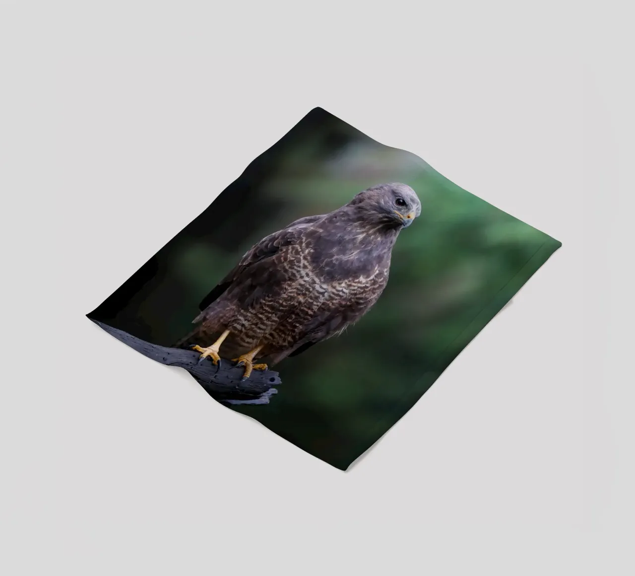 Common buzzard fleecedeken van Tom's Wildlife