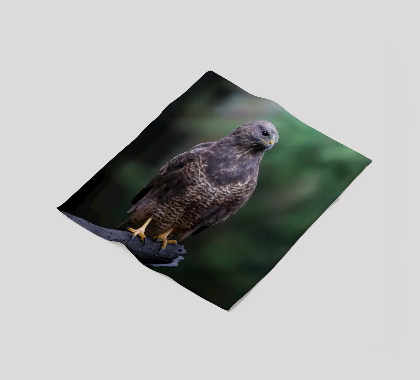 Common buzzard fleecedeken van Tom's Wildlife