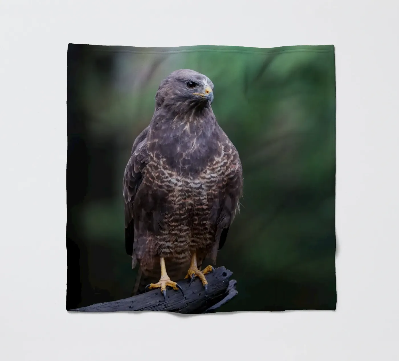 Common buzzard fleecedeken van Tom's Wildlife