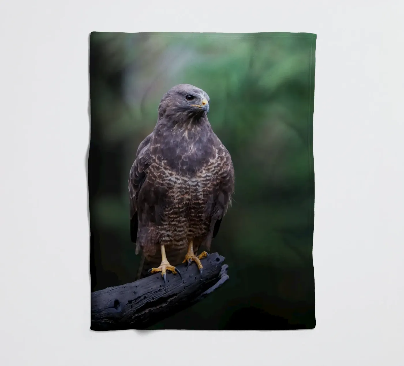 Buizerd fleecedeken van Tom's Wildlife