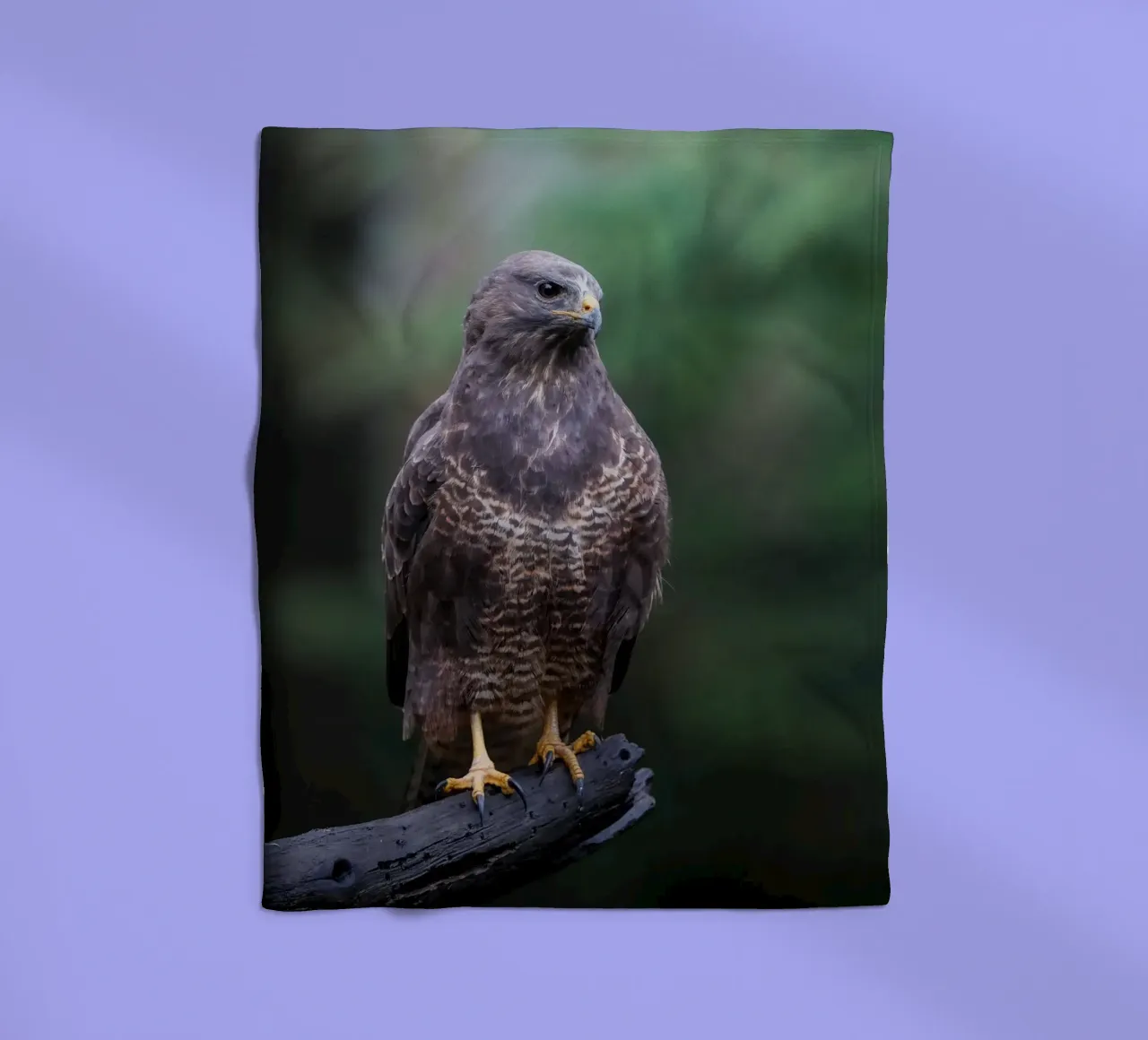Common buzzard fleecedeken van Tom's Wildlife