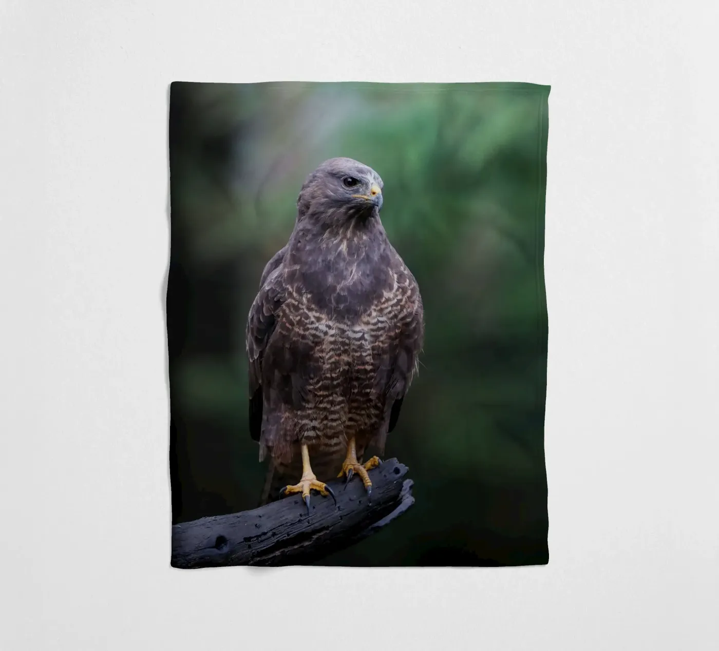 Common buzzard fleecedeken van Tom's Wildlife