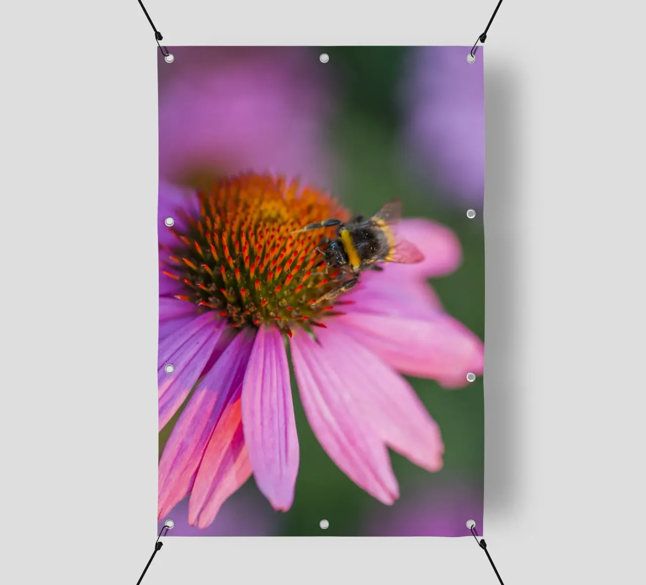 Bombo su fiore rosa telo in pvc da Curious Collections by Marielle Leenders