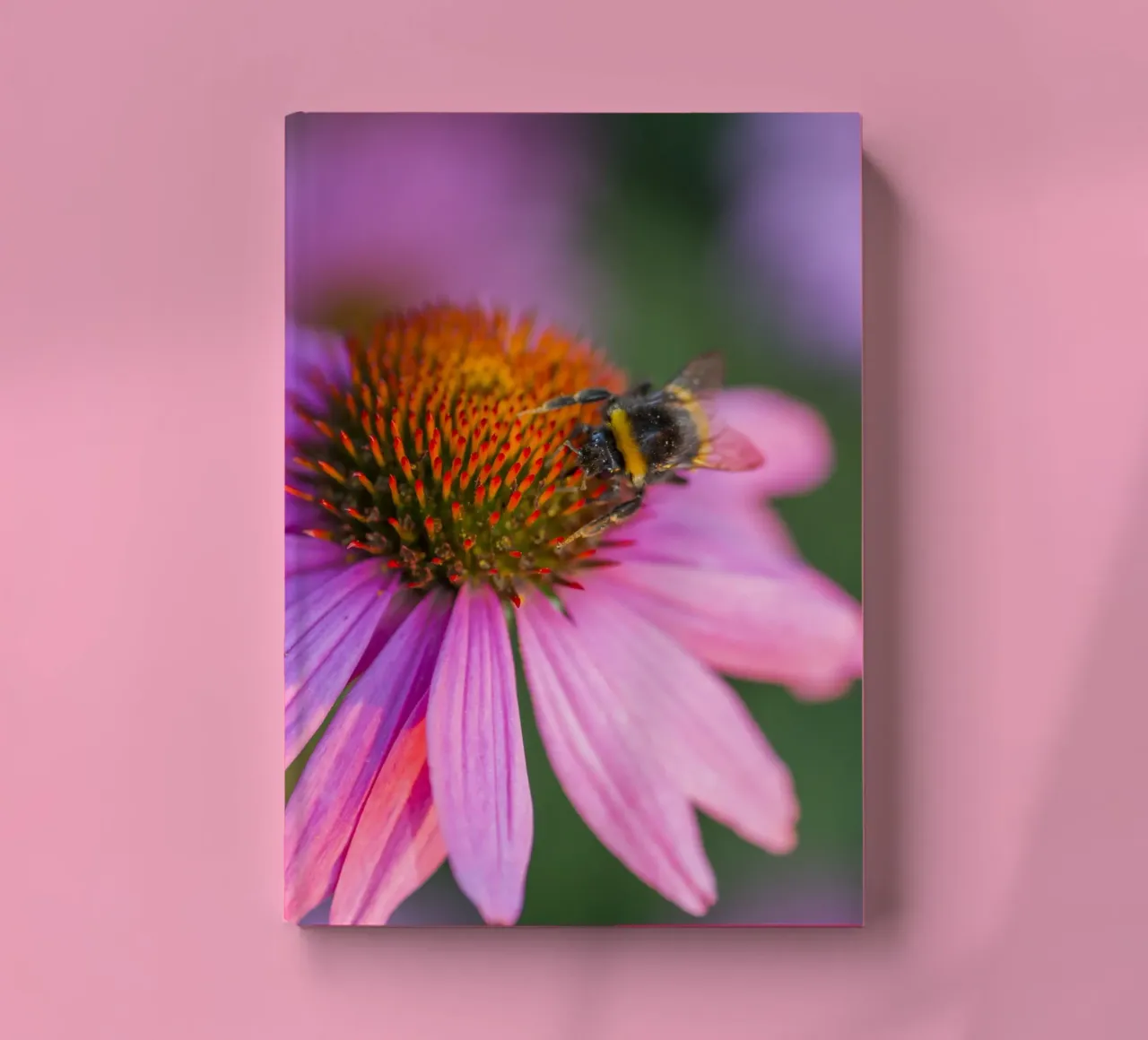 Hummel auf rosa Blüte Notizbuch von Curious Collections by Marielle Leenders