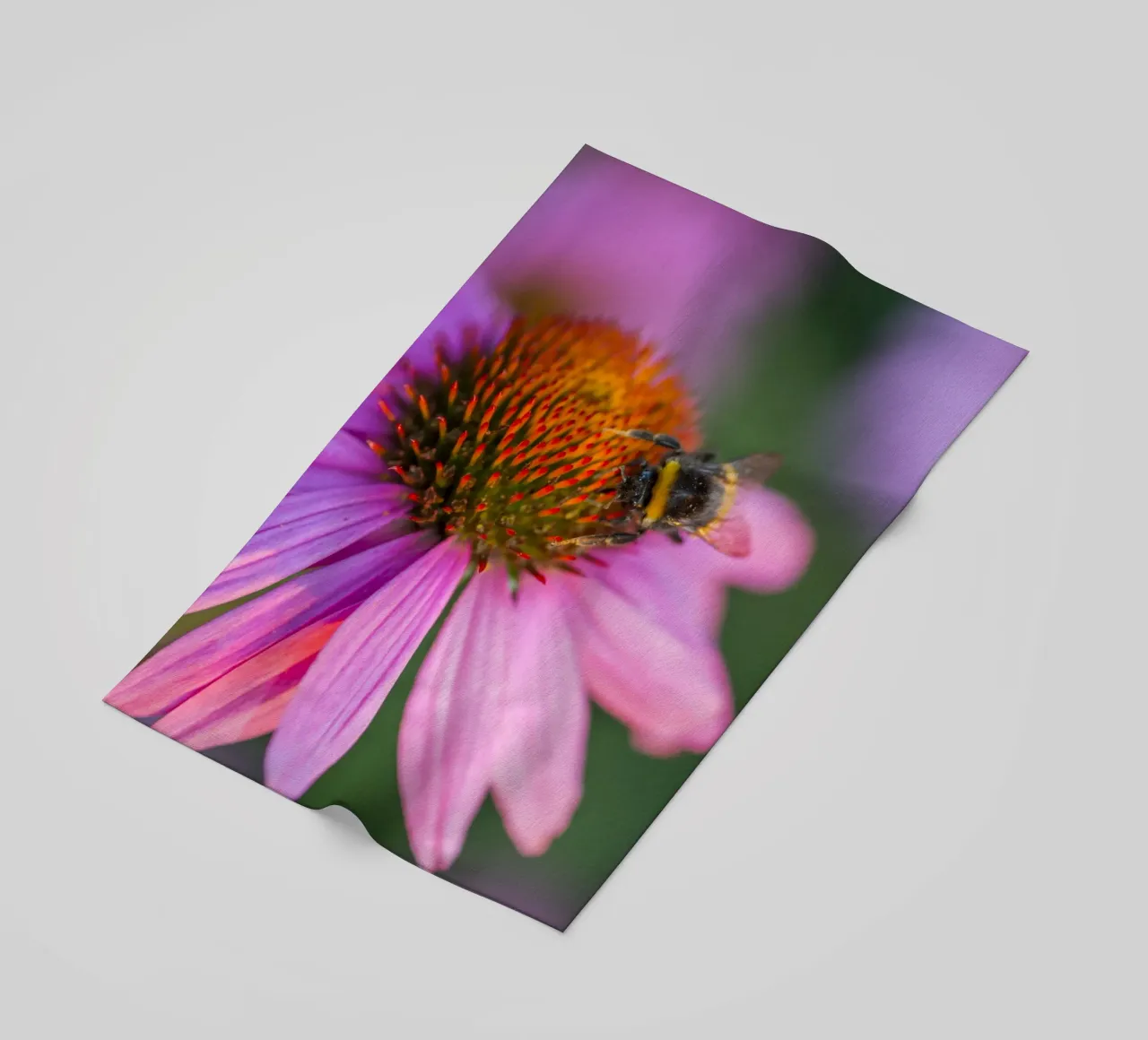 Bombo su fiore rosa telo mare da Curious Collections by Marielle Leenders