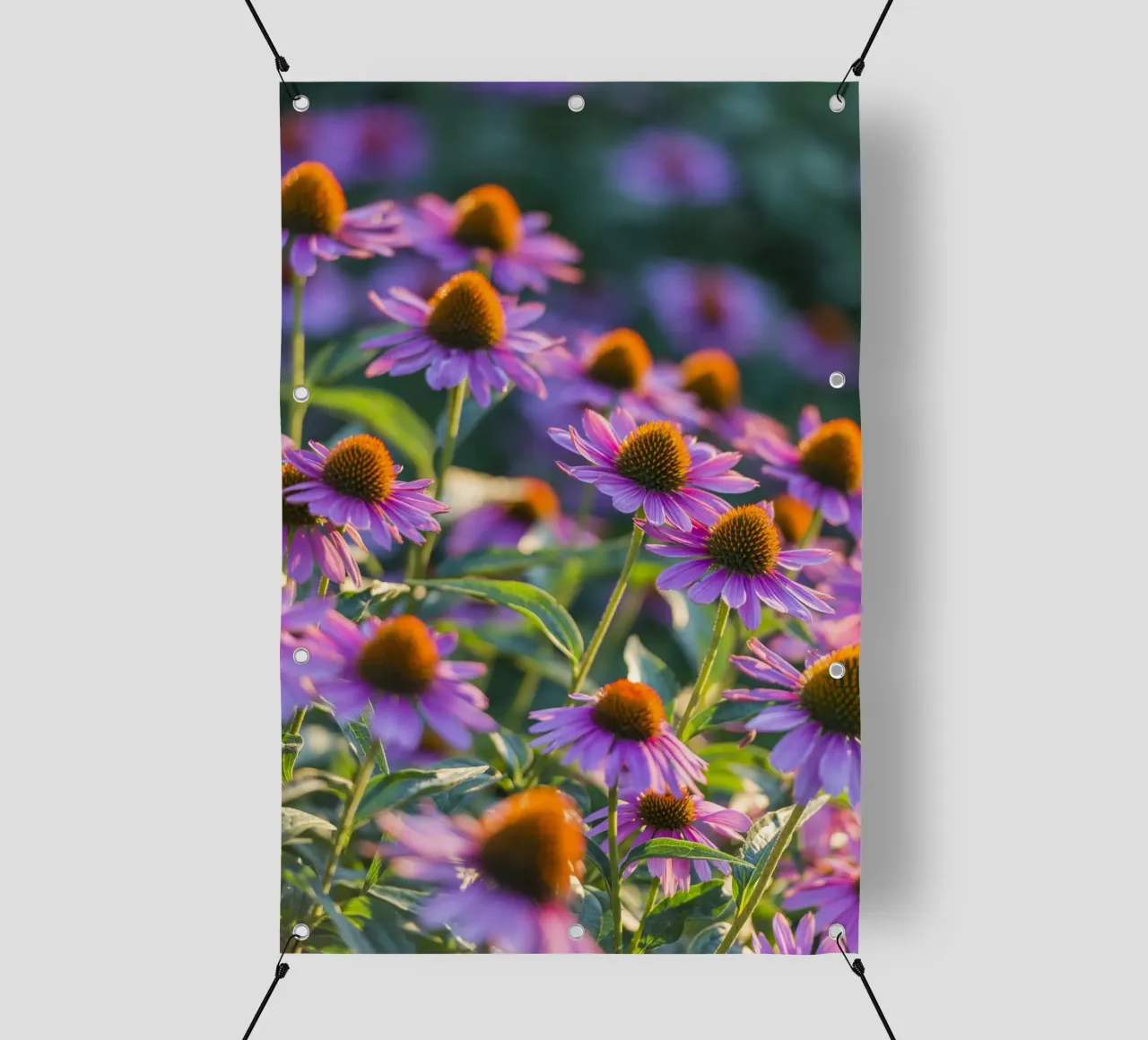 I fiori dell'ora d'oro telo in pvc da Curious Collections by Marielle Leenders