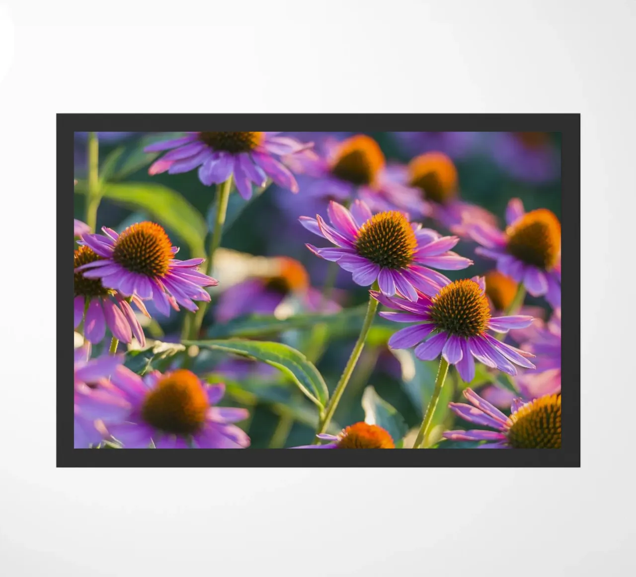 I fiori dell'ora d'oro zerbino da Curious Collections by Marielle Leenders