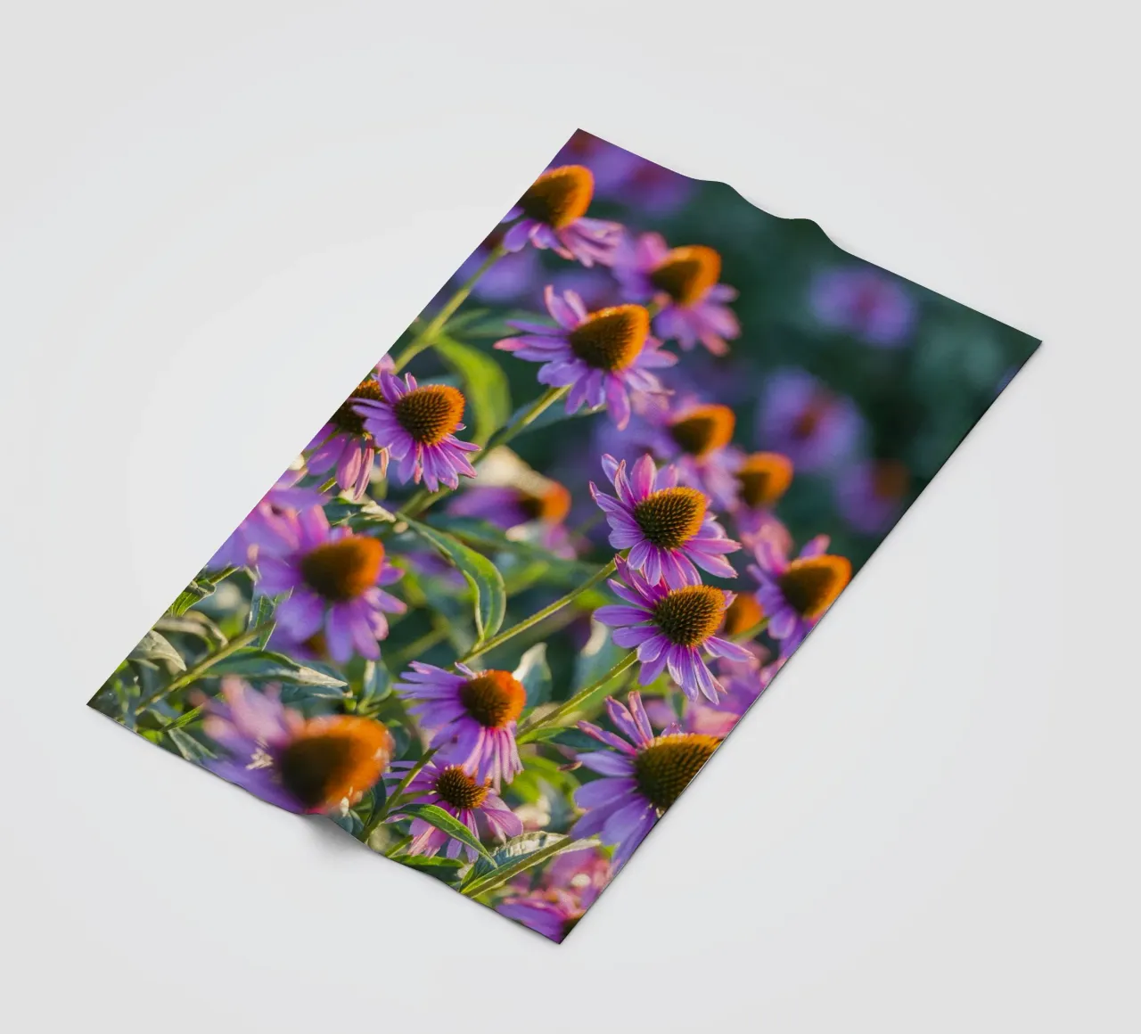 I fiori dell'ora d'oro coperta in pile da Curious Collections by Marielle Leenders