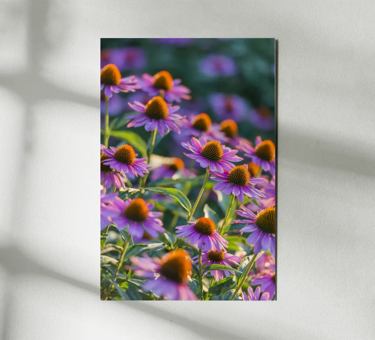 I fiori dell'ora d'oro alluminio dibond da Curious Collections by Marielle Leenders