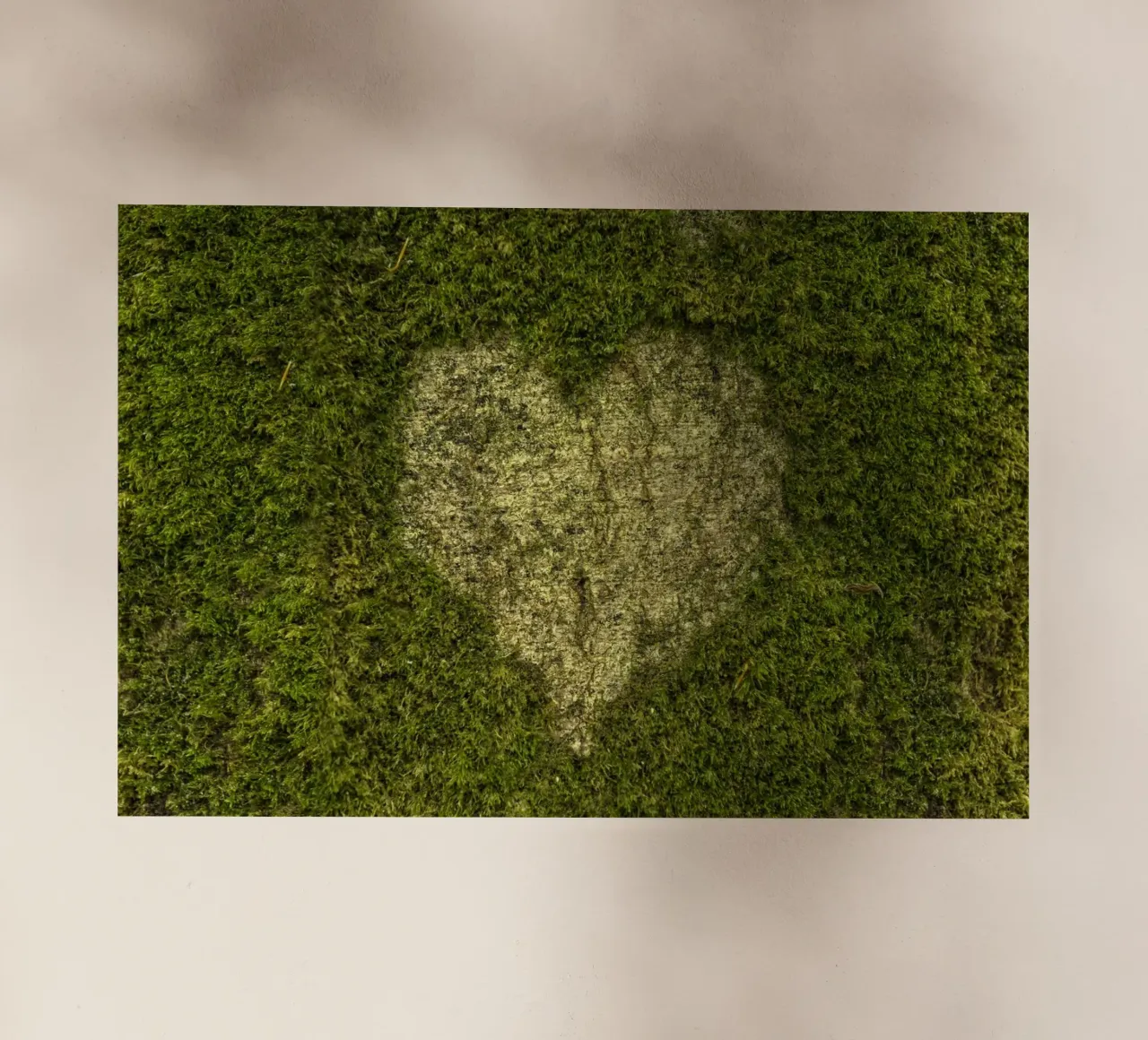 Amore muschiato pellicola backlit da Curious Collections by Marielle Leenders