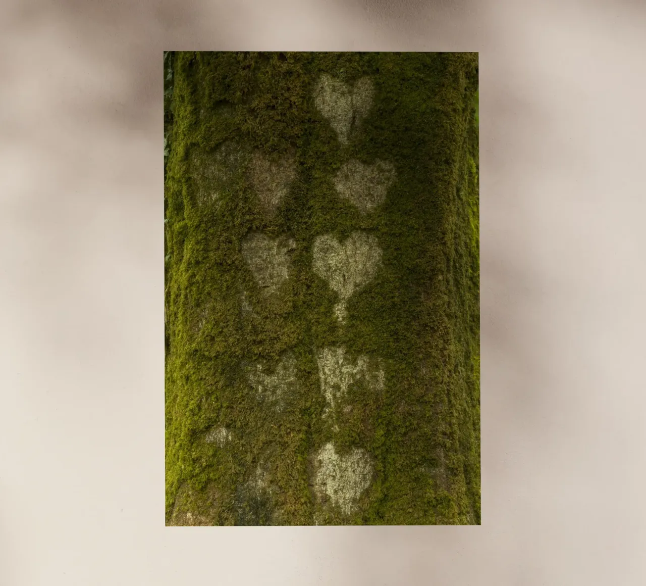 Foresta del cuore pellicola backlit da Curious Collections by Marielle Leenders