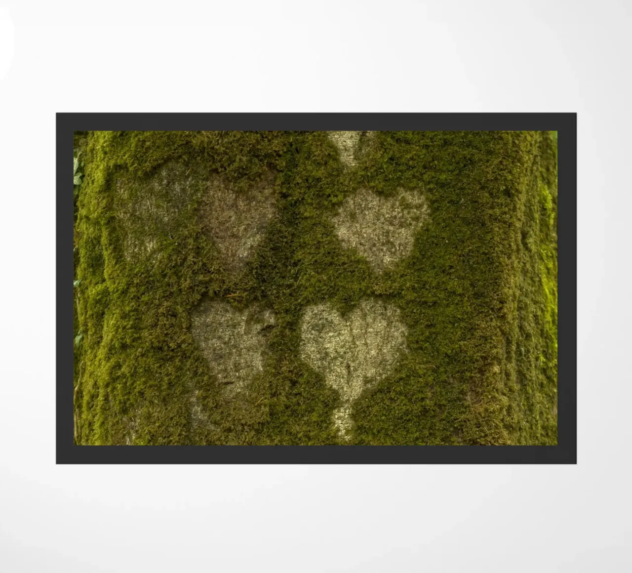 Foresta del cuore zerbino da Curious Collections by Marielle Leenders