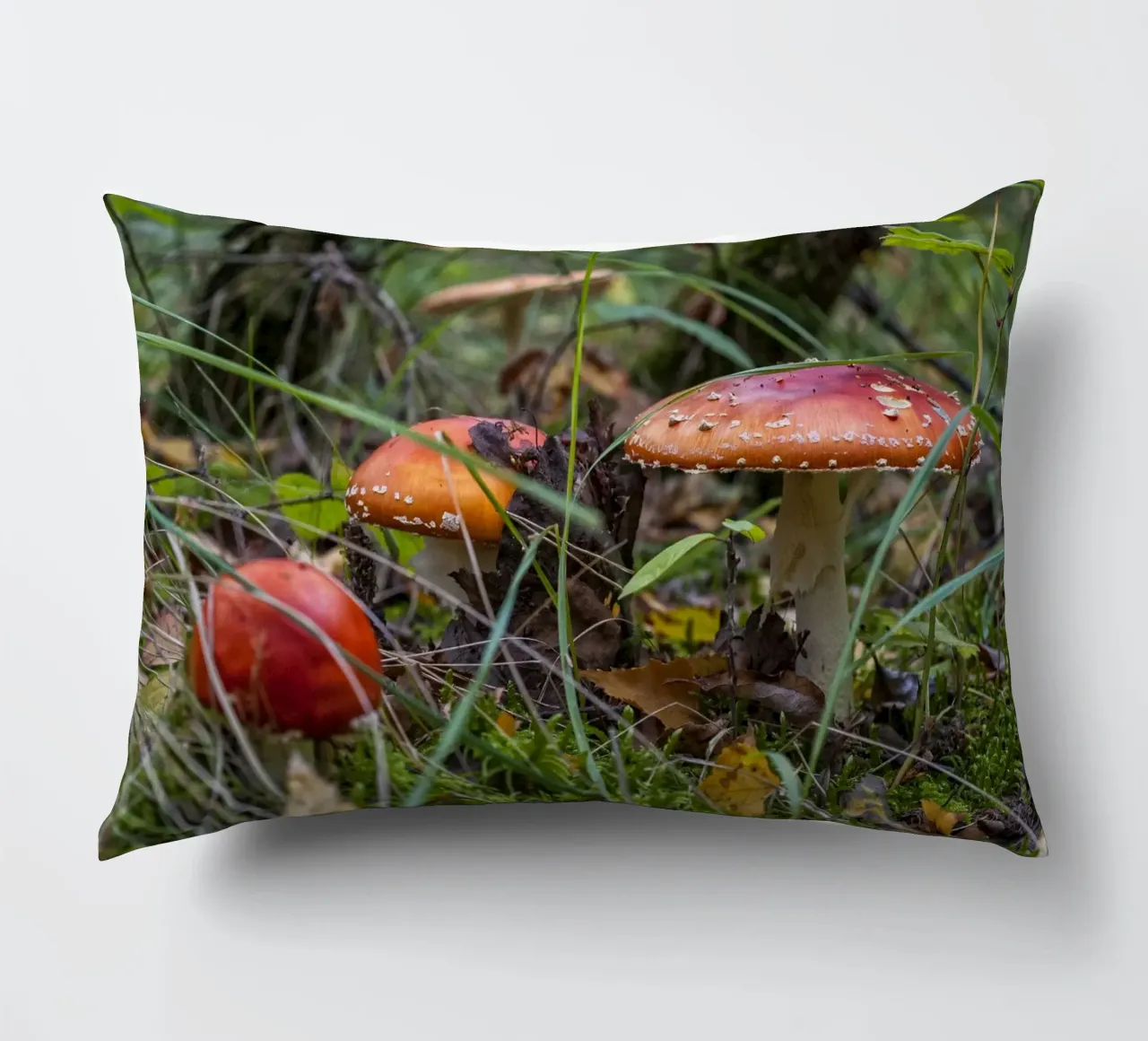 Funghi nel muschio cuscino da Curious Collections by Marielle Leenders
