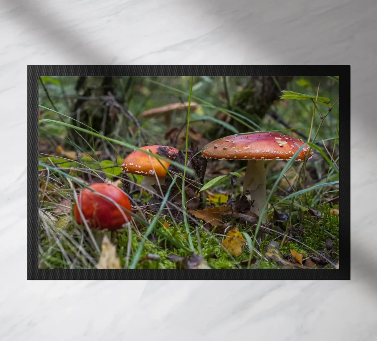 Funghi nel muschio zerbino da Curious Collections by Marielle Leenders