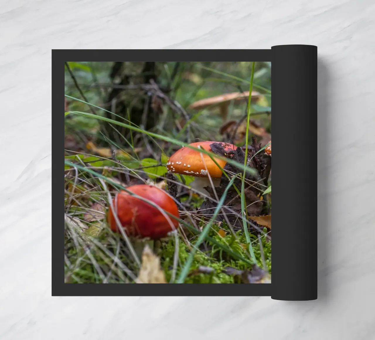 Funghi nel muschio zerbino da Curious Collections by Marielle Leenders