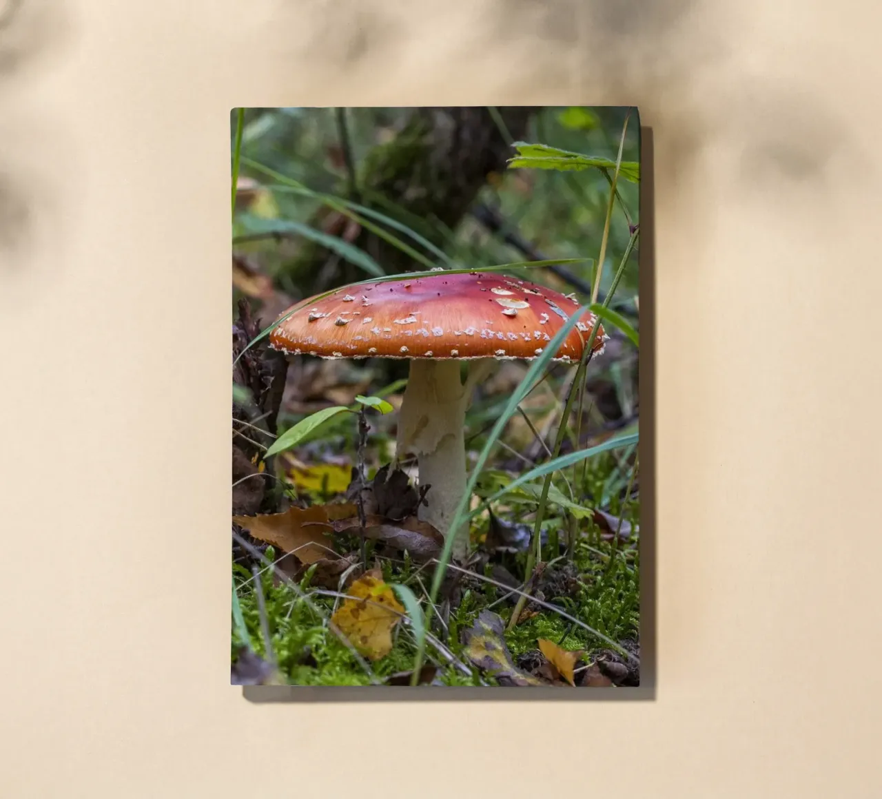 Mushrooms in the Moss notebook by Curious Collections by Marielle Leenders