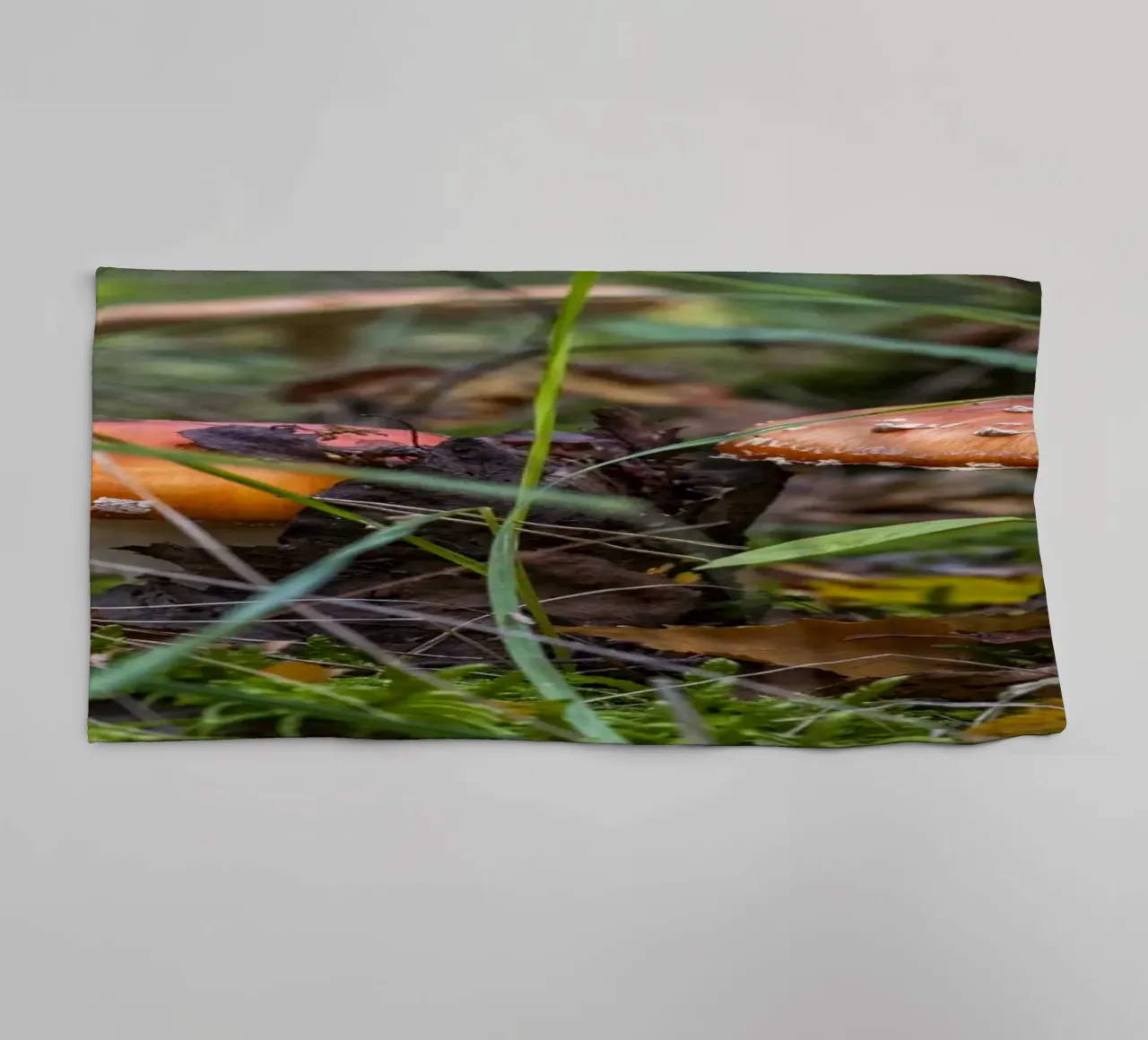Mushrooms in the Moss towel by Curious Collections by Marielle Leenders