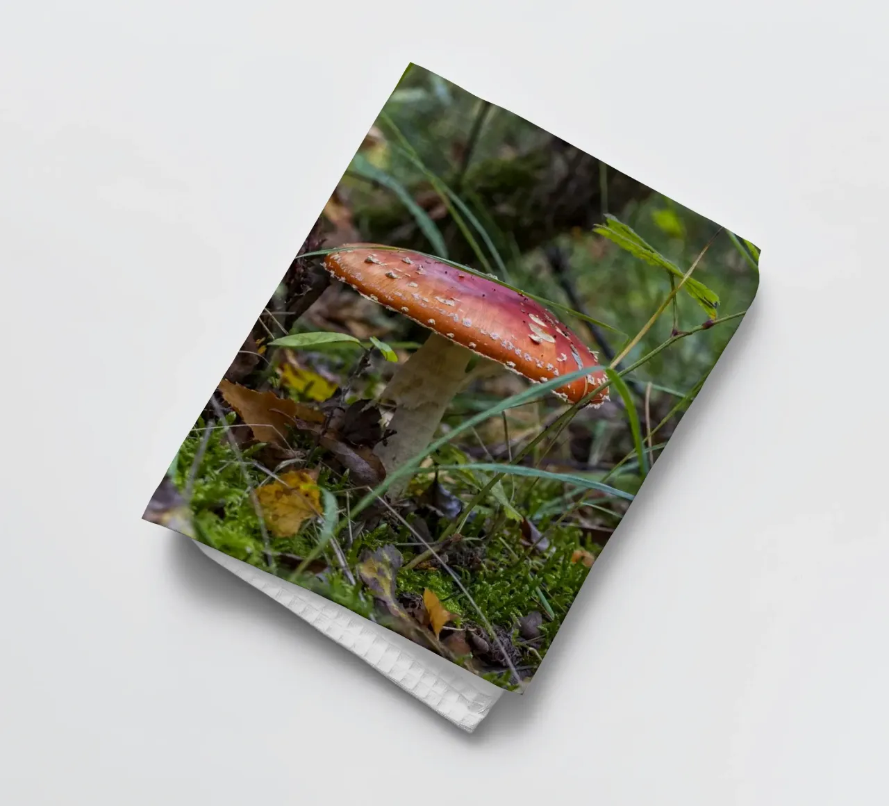 Champignons dans la mousse torchon de Curious Collections by Marielle Leenders