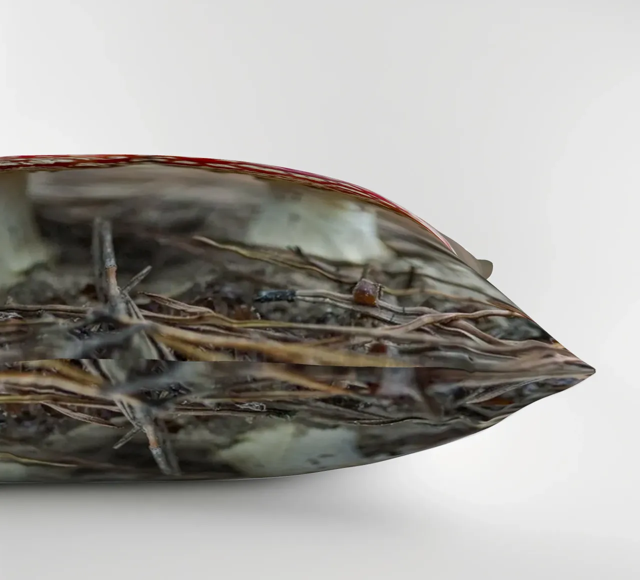 Amici della foresta cuscino da Curious Collections by Marielle Leenders