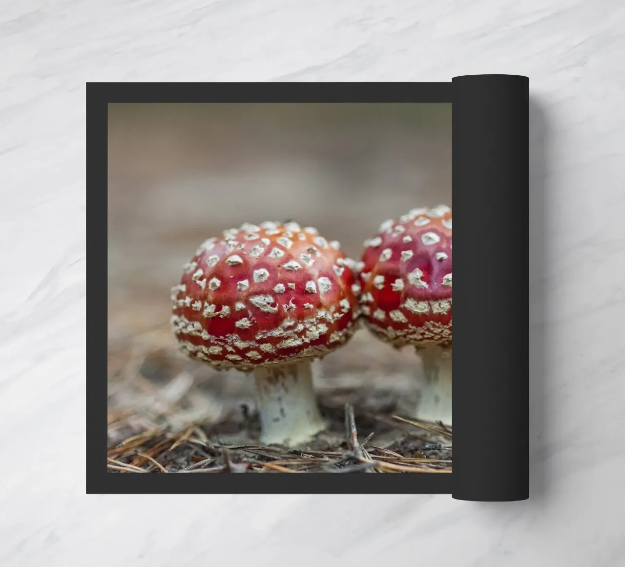 Amici della foresta zerbino da Curious Collections by Marielle Leenders