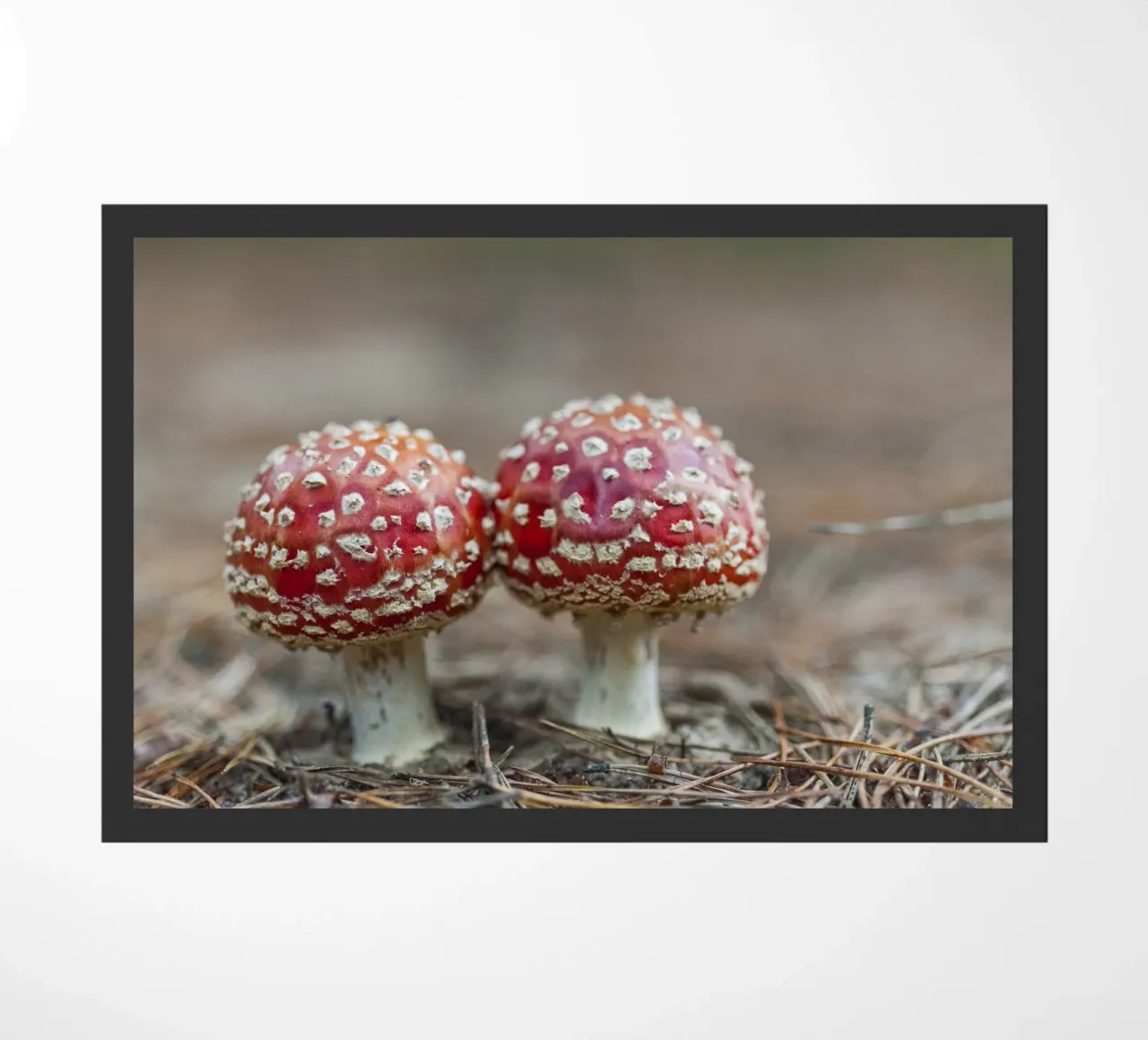 Amici della foresta zerbino da Curious Collections by Marielle Leenders