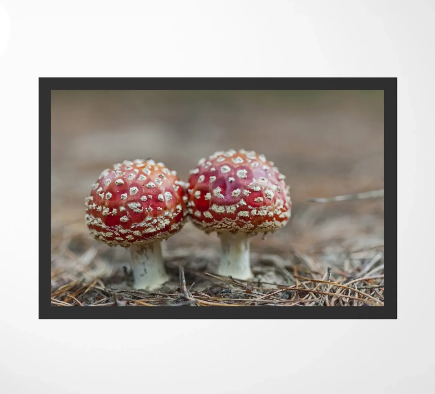 Amici della foresta zerbino da Curious Collections by Marielle Leenders