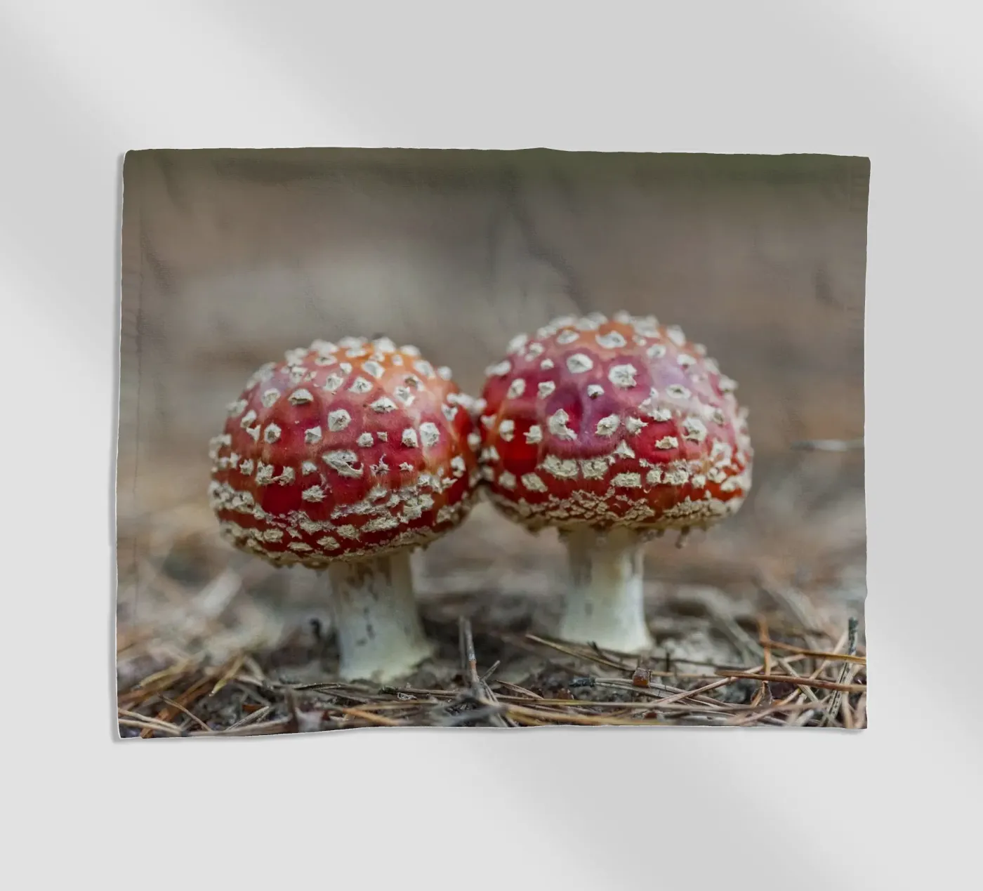 Amici della foresta telo mare da Curious Collections by Marielle Leenders