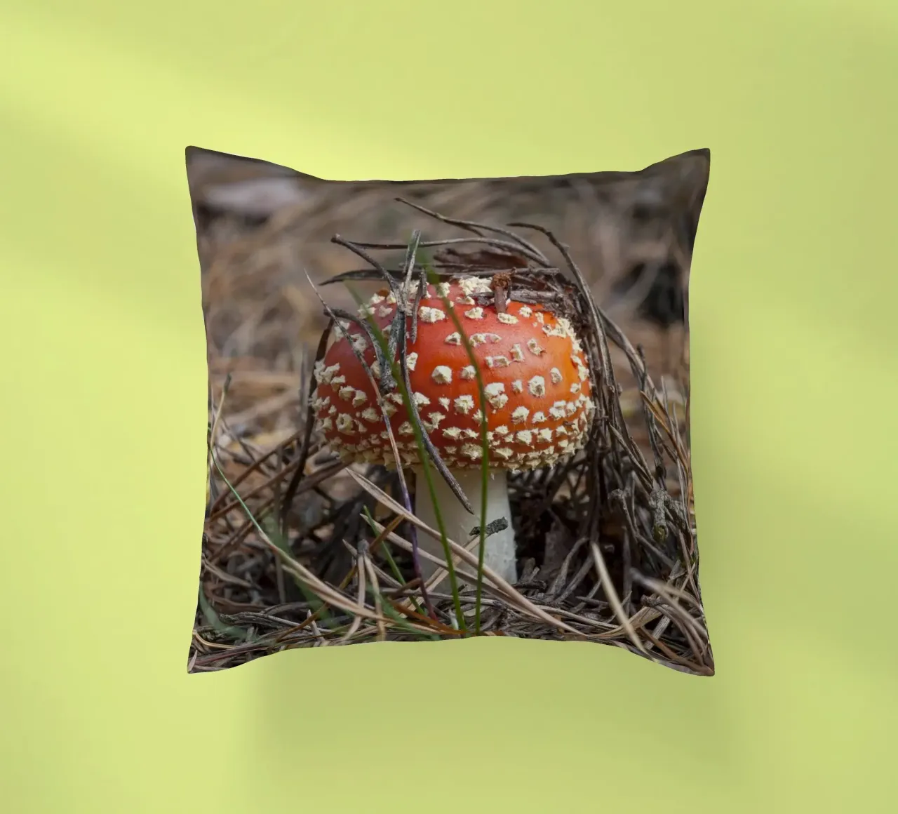 Sgabello per rospi Peek-a-Boo cuscino da Curious Collections by Marielle Leenders
