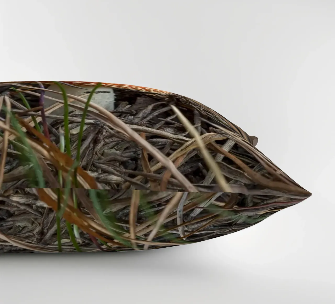 Sgabello per rospi Peek-a-Boo cuscino da Curious Collections by Marielle Leenders