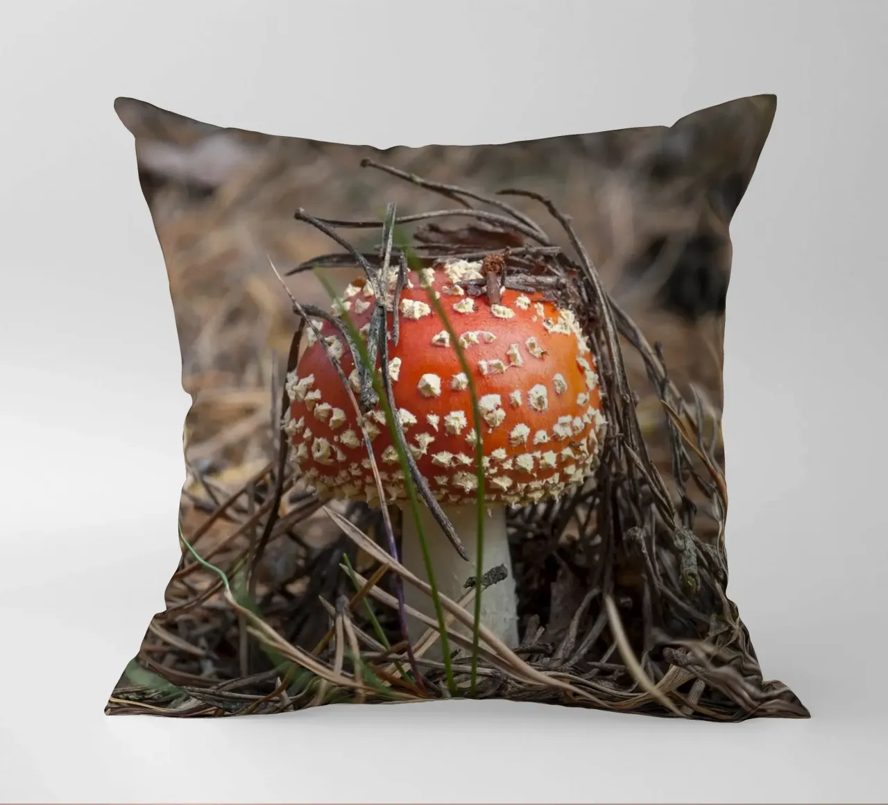 Sgabello per rospi Peek-a-Boo cuscino da Curious Collections by Marielle Leenders