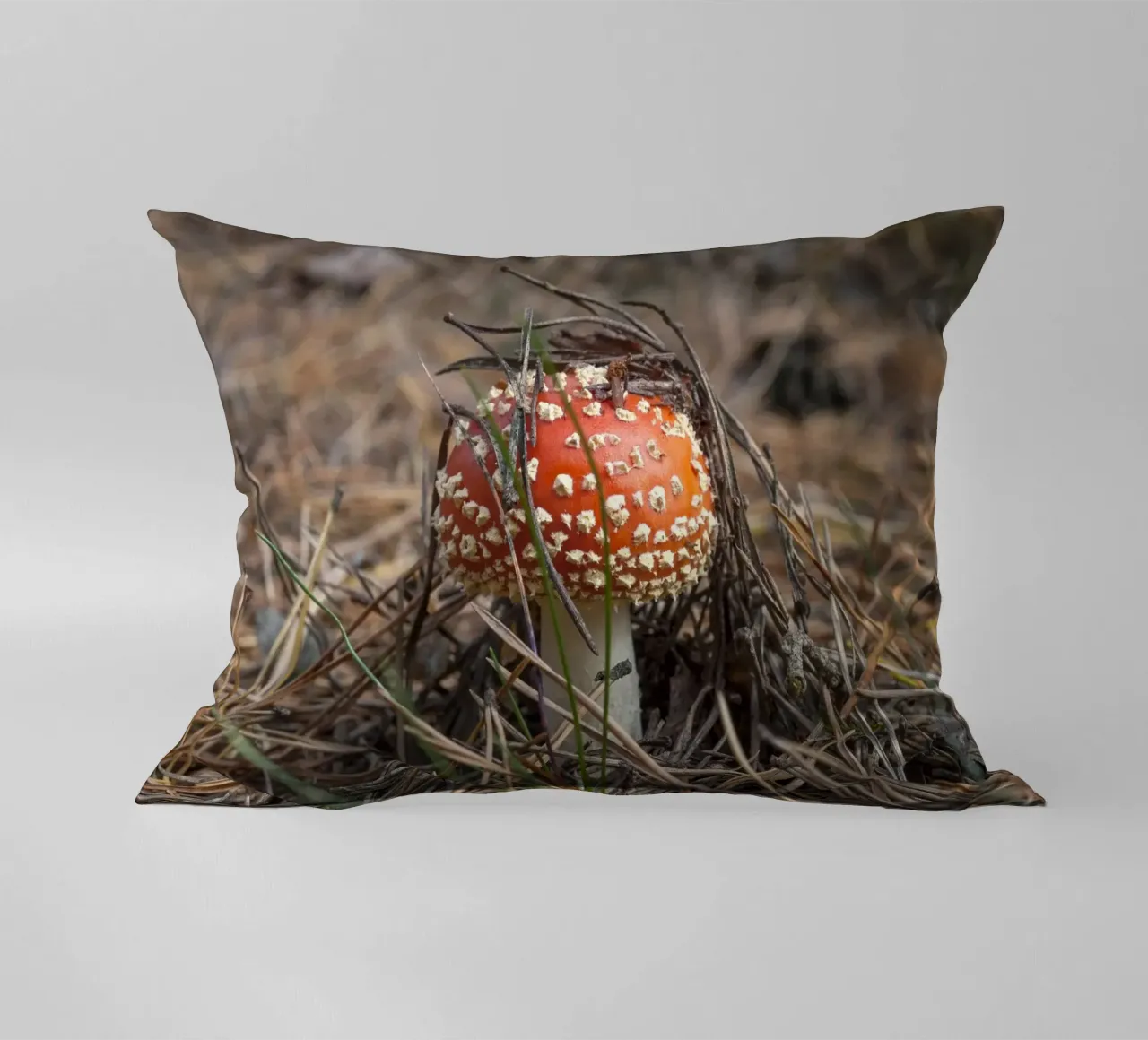 Sgabello per rospi Peek-a-Boo cuscino da Curious Collections by Marielle Leenders